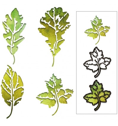 Stanzschablonen Leaf Print - Sizzix