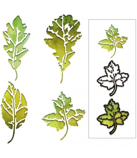 Stanzschablonen Leaf Print - Sizzix