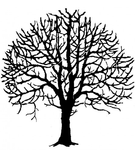 Baum Stempel