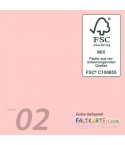 Scrapbooking Papier in babypink, 12 Stk. - FK