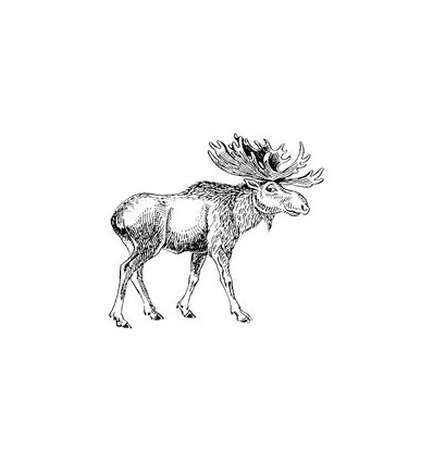 Elch Stempel