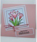 Clear Stamps Krokuse  - Scrapbook Forever