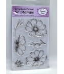 Clear Stamps Frühlingsblume  - Scrapbook Forever