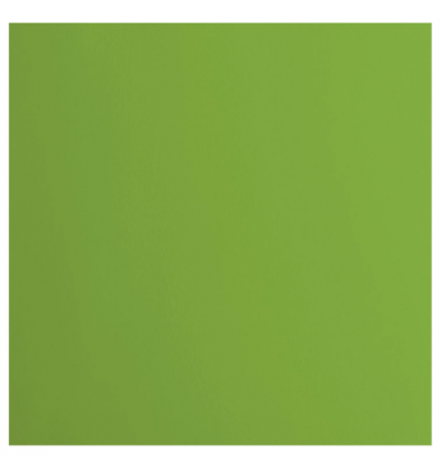 Scrapbooking Papier Frog vert - Florence