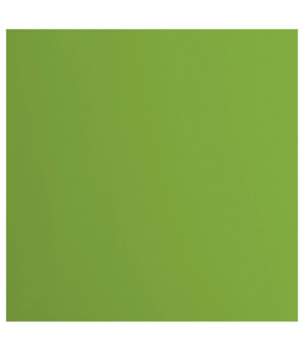 Scrapbooking Papier Frog vert - Florence