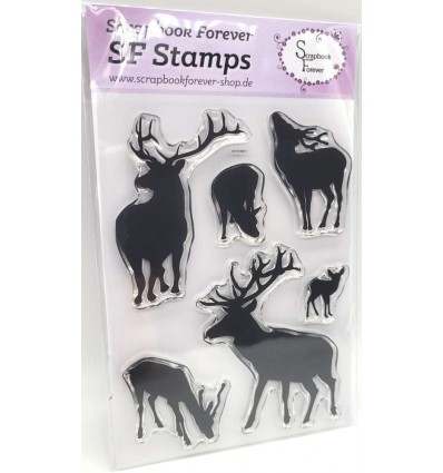 Clear Stamps conifères en hauteur - Scrapbook Forever