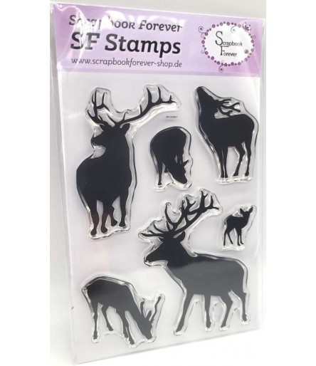 Clear Stamps Nadelbäume hoch - Scrapbook Forever