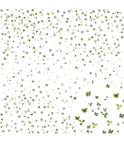 Scrappbooking Paper Wirbelnder Klee - Charlie & Paulchen