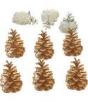Brads Tannzapfen Pinecone - Eyelet Qutlet