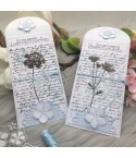 Clear Stamp Set "Flowers with Script" - Creative Depot