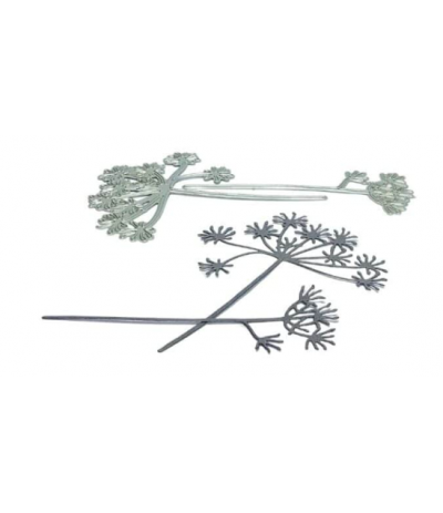 Dies Dill blossom - Charlie und Paulchen