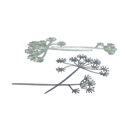 Dies Dill blossom - Charlie und Paulchen