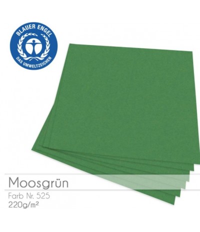 Scrapbooking Papier moosgrün, 12 Stk. 30.5 x 30.5cm