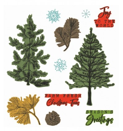 Dies and stamp set Pine Holidays - Sizzix