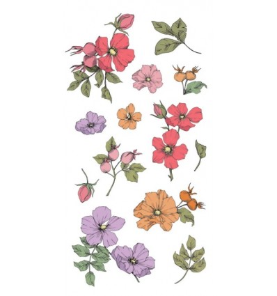 Clear stamps Wildflowers - Sizzix
