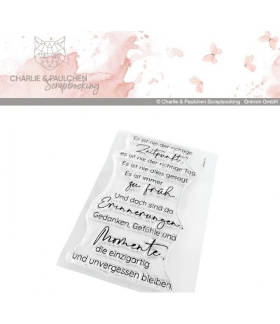 Silikonstempel Es ist nie der richtige - Charlie & Paulchen