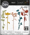 Matrices de découpe Fleurs sauvage 3 - Sizzix -