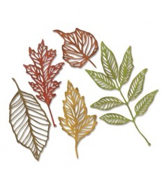 Cutting dies Skeleton Leaves - Sizzix - VC