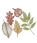 Matrices de découpe Feuilles Squelette - Sizzix -