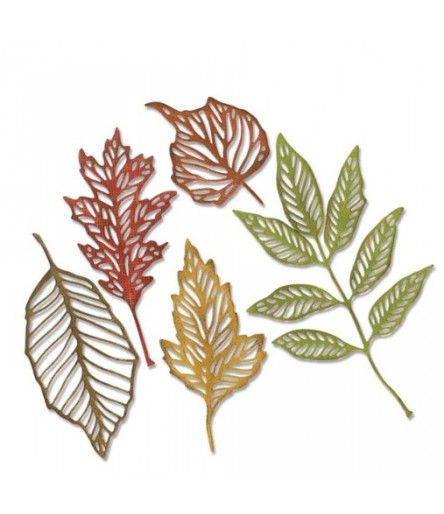 Matrices de découpe Feuilles Squelette - Sizzix -