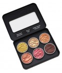 Wasserfarben Pearlcolors 6er Set "Earth" - Coliro
