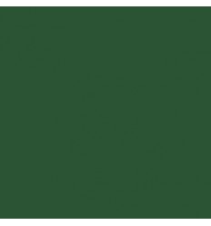 Papier scrapbooking vert - Studio Light