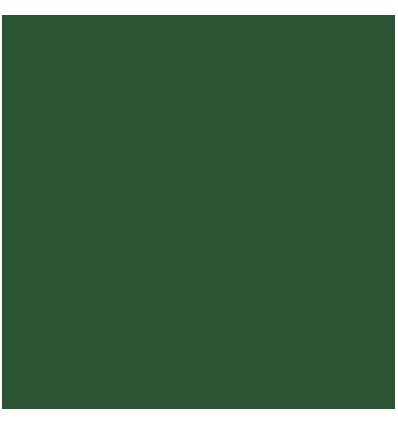 Cardstock green - Studio Light