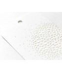 Stencil Butter - Sea Shell - TCW
