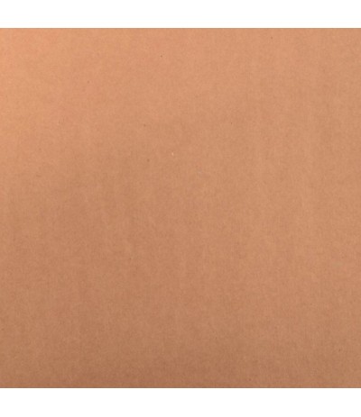 Papier scrapbooking Kraft 216g - Florence