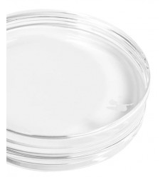 Acrylblock rund Ø 80mm, Dicke 20 mm - Renke