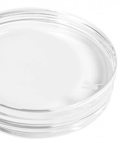 Bloc acrylique rond Ø 80 mm, épaisseur 20 mm - Renke