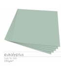 Scrapbooking Papier in Eukalyptus, 12 Stk. 30,5 x 30,5cm