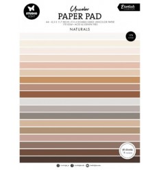 Scrapbooking Papier Paper Pad Pastels A4 - Studio Light