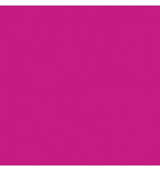 Versacolor Mini Pigment Stempelkissen Poera Pink