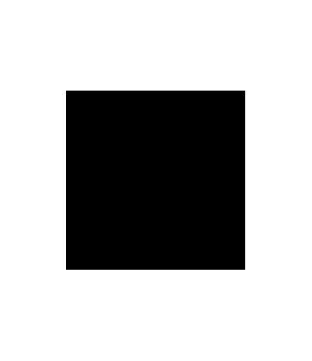 Nachfüllfarbe für Pigment-Stempelkissen Schwarz