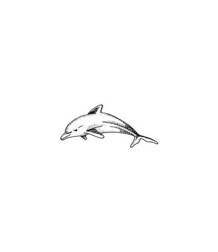 Mini Stempel Delfin