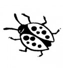 Mini Marienkäfer Stempel