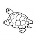 Mini Stempel Land-Schildkröte