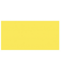 TOMBOW Dual Brush Pen Baby Yellow