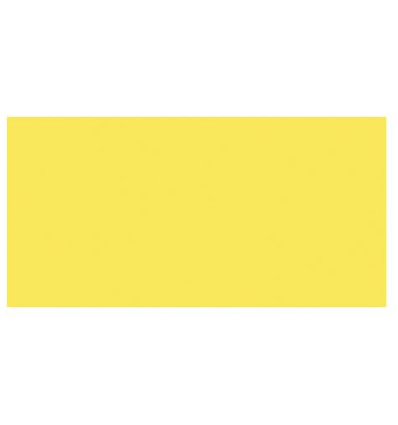 TOMBOW Dual Brush Pen Baby Yellow