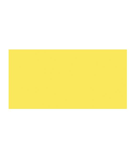 TOMBOW Dual Brush Pen Baby Yellow