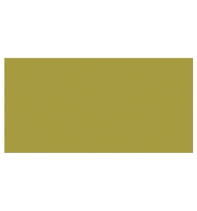 TOMBOW Dual Brush Pen Avocado