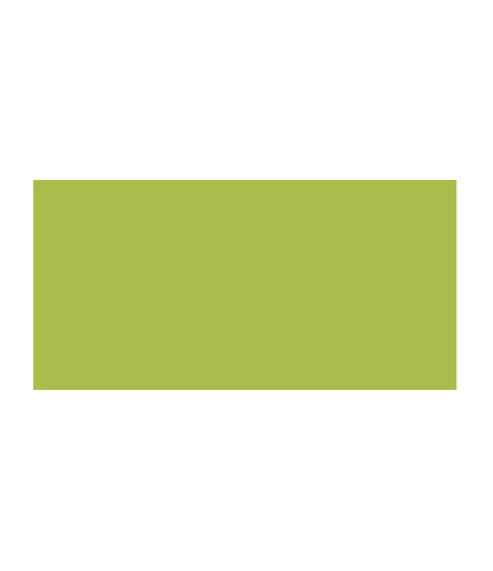 TOMBOW Dual Brush Pen Willow Green ABT-173 