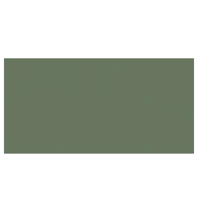 TOMBOW Dual Brush Pen Gray Green