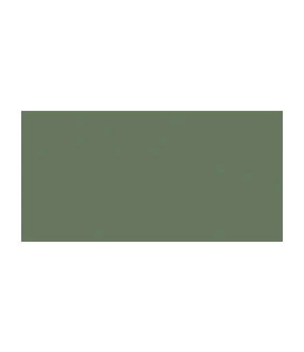 TOMBOW Dual Brush Pen Gray Green