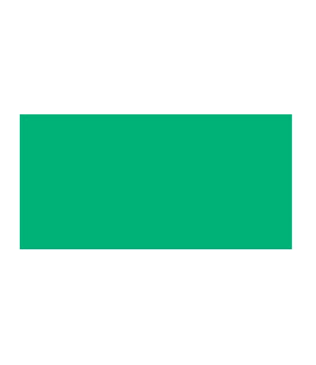 TOMBOW Dual Brush Pen Green