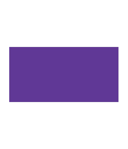 TOMBOW Dual Brush Pen Imperial Purple