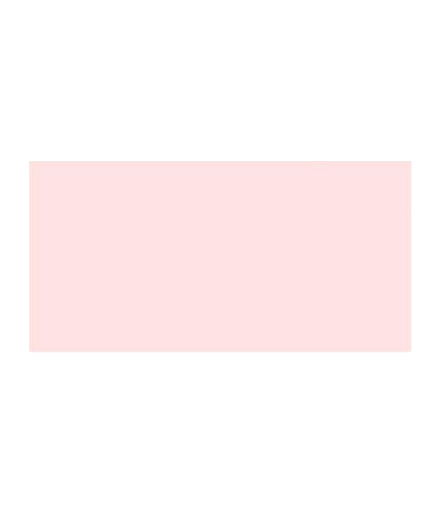 TOMBOW Dual Brush Pen Baby Pink