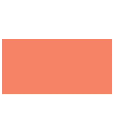 TOMBOW Dual Brush Pen Coral ABT-873 