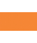 TOMBOW Dual Brush Pen Orange
